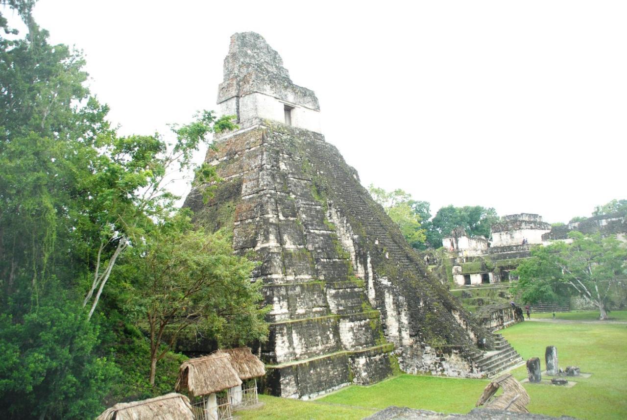 Peten Esplendido Flores Quarto foto